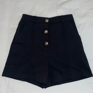 Pleated Zara Shorts